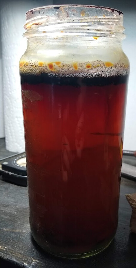 iron-acetate-day-15.jpg