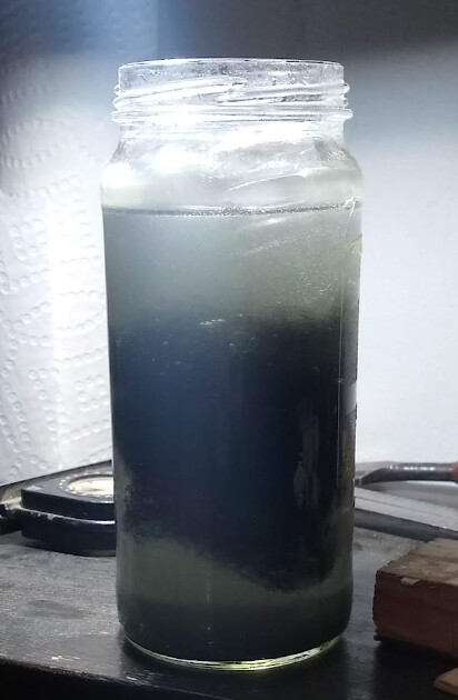 iron-acetate-day-2.jpg