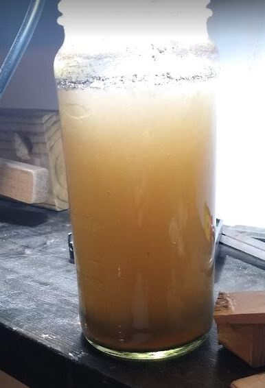 iron-acetate-day-4.jpg