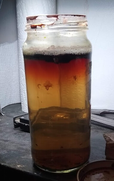 iron-acetate-day-9.jpg