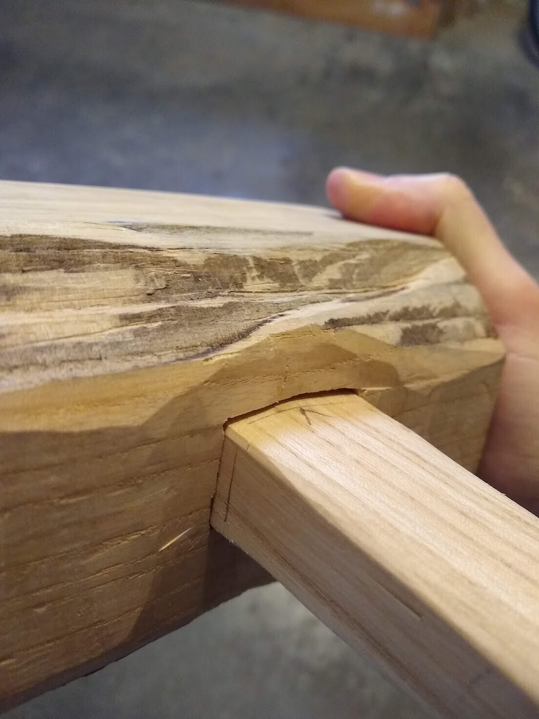 mallet-curved-underside.jpg